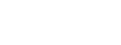 The Customer Leaders Institute